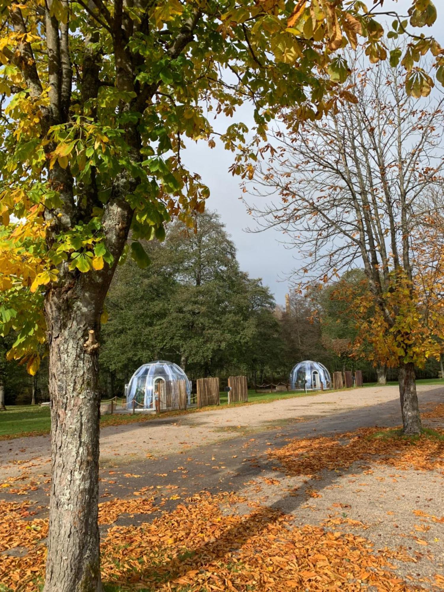 Boras Camping & Vandrahem Exterior foto